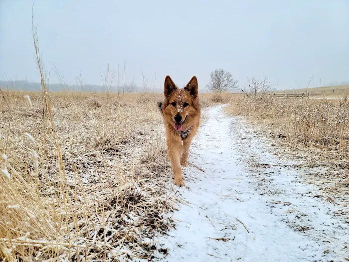Cherry Creek ​Dog Of​f Leash Area (DOLA) 8