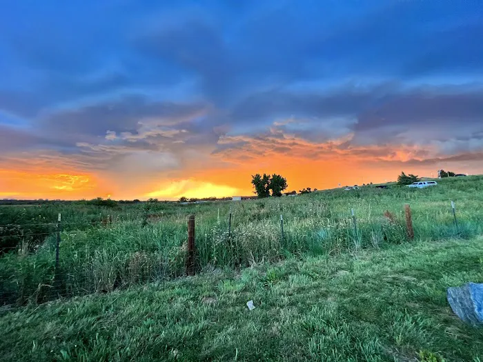 Cherry Creek ​Dog Of​f Leash Area (DOLA) 2