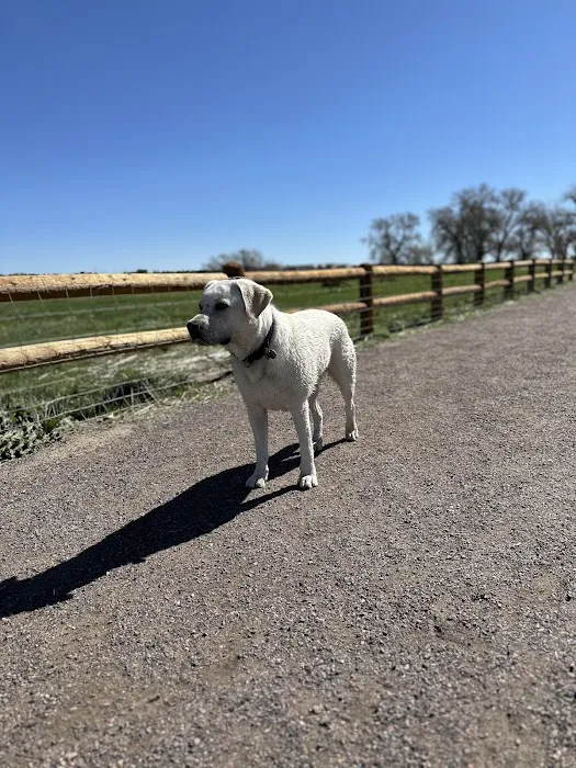 Cherry Creek ​Dog Of​f Leash Area (DOLA) 1