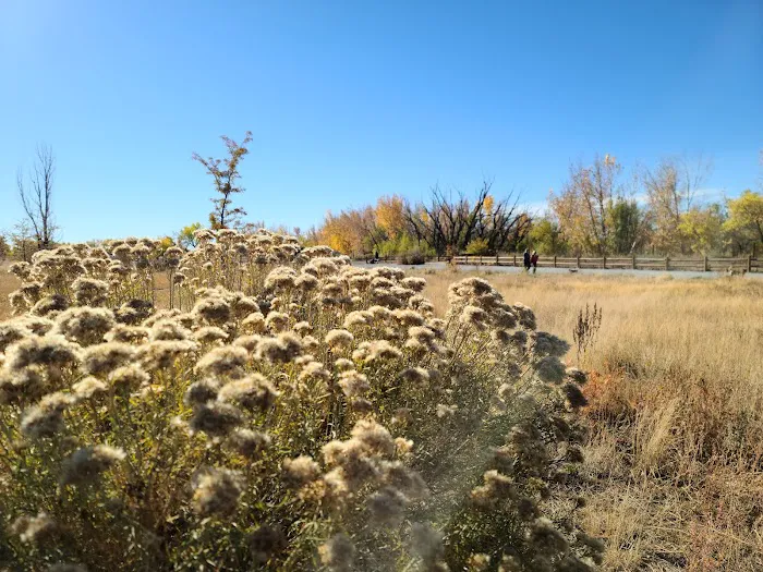 Cherry Creek ​Dog Of​f Leash Area (DOLA) 4