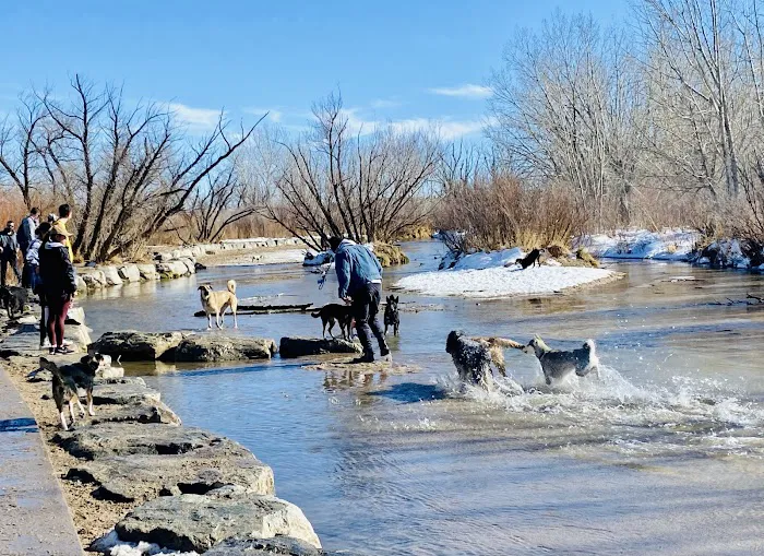 Cherry Creek ​Dog Of​f Leash Area (DOLA) 9