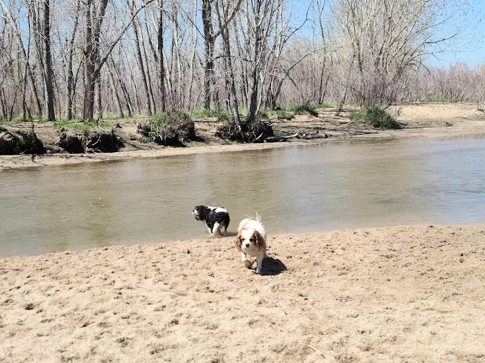 Cherry Creek ​Dog Of​f Leash Area (DOLA) 7