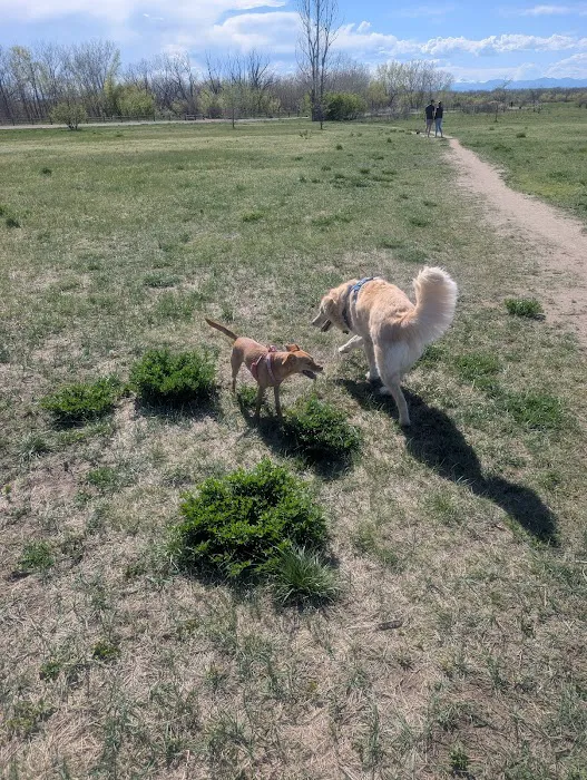 Cherry Creek ​Dog Of​f Leash Area (DOLA) 3
