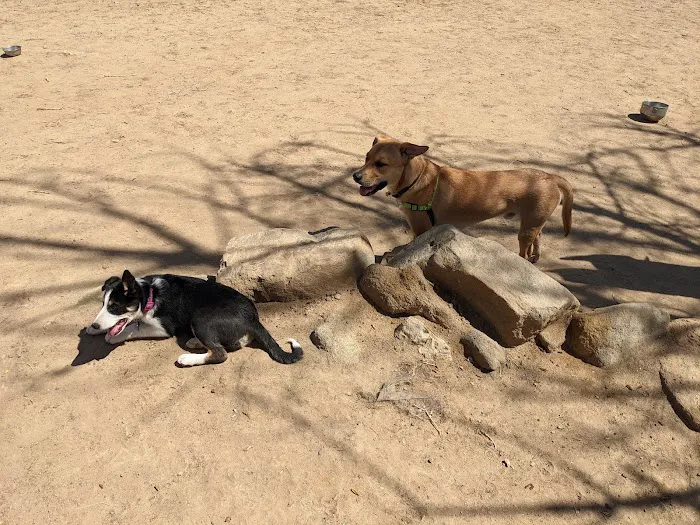 Grandview Dog Park 7