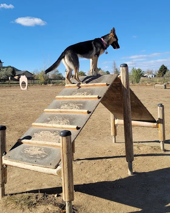 Grandview Dog Park 9