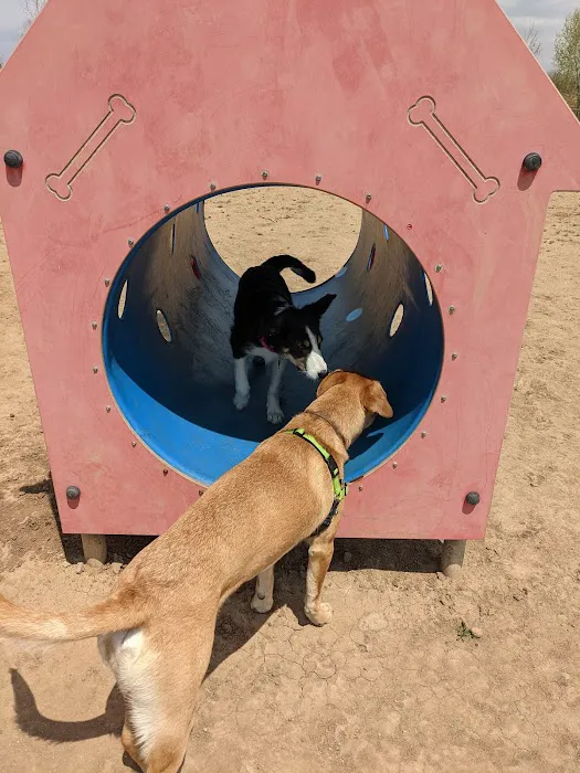 Grandview Dog Park 6