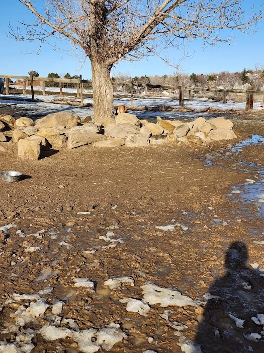 Grandview Dog Park 3