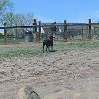 Grandview Dog Park ico