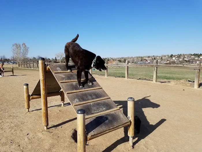 Grandview Dog Park 4