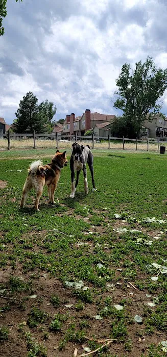 Grandview Dog Park 10