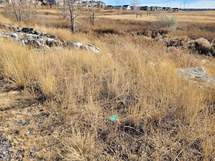 Copperleaf Bark Park - Dog Park 4
