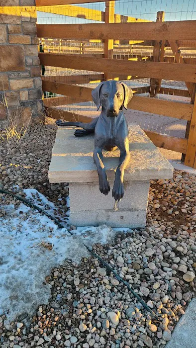 Copperleaf Bark Park - Dog Park 5