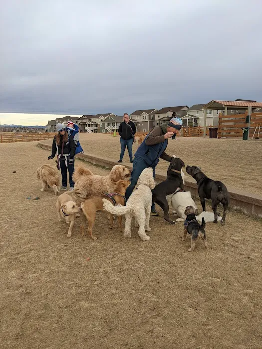 Copperleaf Bark Park - Dog Park 2