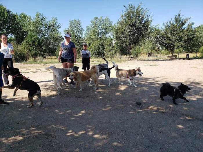Hound Hill Dog Park 8