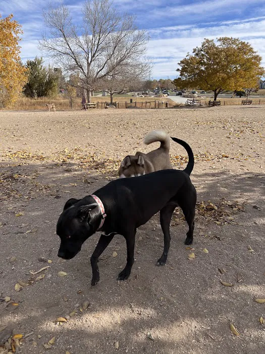 Hound Hill Dog Park 10