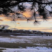 Hound Hill Dog Park ico