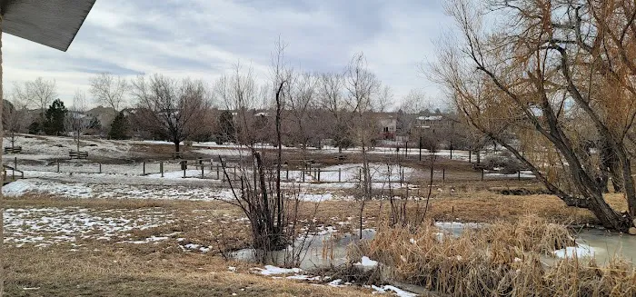 Hound Hill Dog Park 3