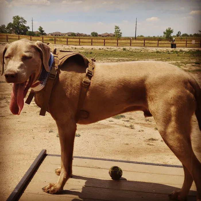 USMC CPL David M. Sonka Dog Park and Westcreek Disc Golf Course 3