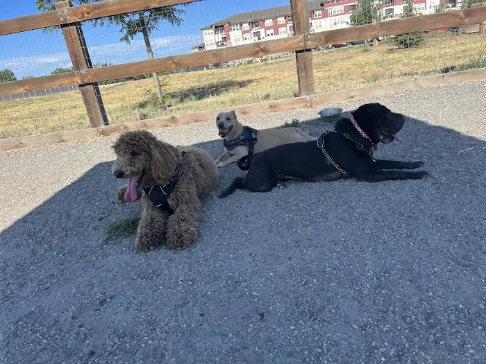 USMC CPL David M. Sonka Dog Park and Westcreek Disc Golf Course 7