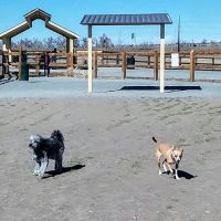 USMC CPL David M. Sonka Dog Park and Westcreek Disc Golf Course ico