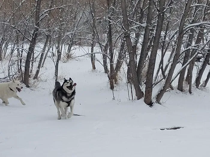 Tony Grampsas Dog Park 1