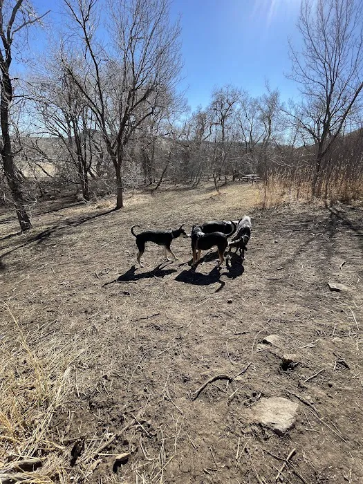 Tony Grampsas Dog Park 9