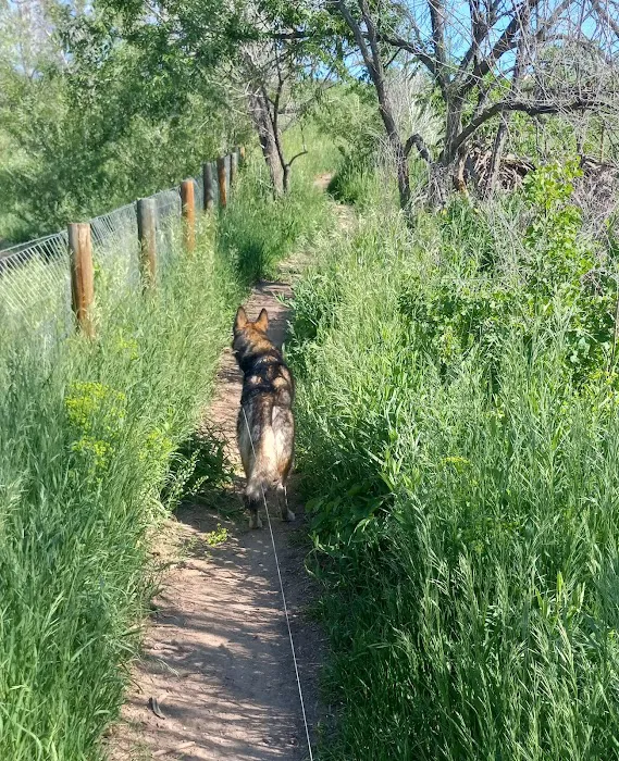 Tony Grampsas Dog Park 4
