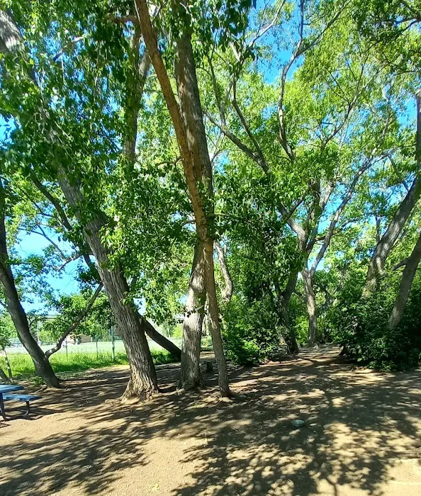 Tony Grampsas Dog Park 5