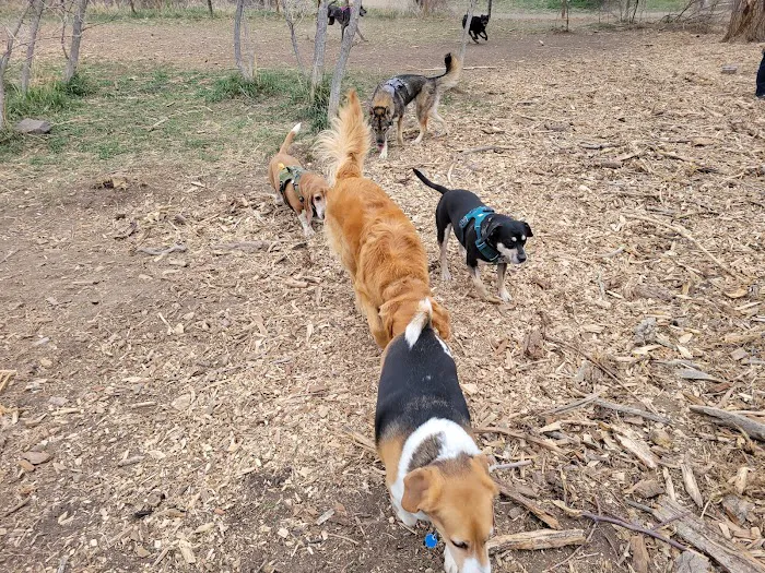 Tony Grampsas Dog Park 7