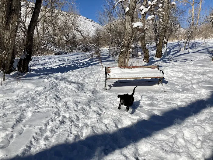 Tony Grampsas Dog Park 8