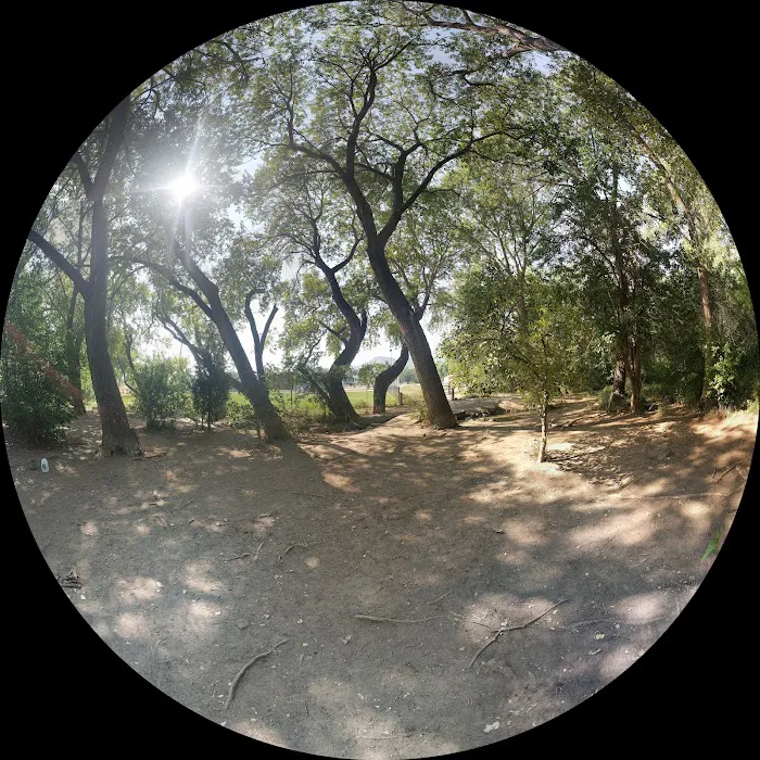Tony Grampsas Dog Park 10