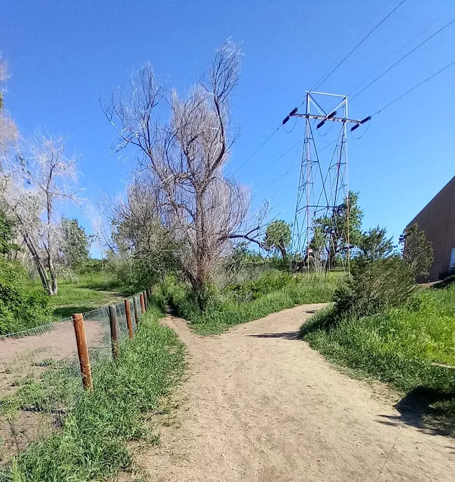 Tony Grampsas Dog Park 3