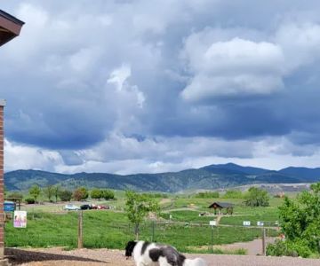 West Arvada Dog Park