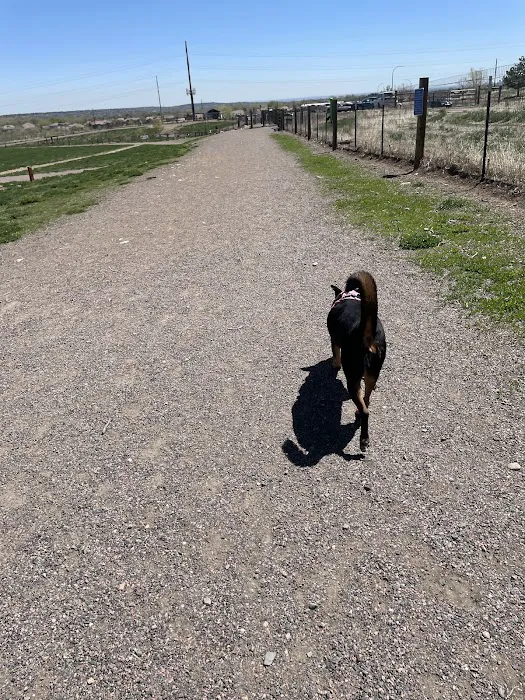 West Arvada Dog Park 7