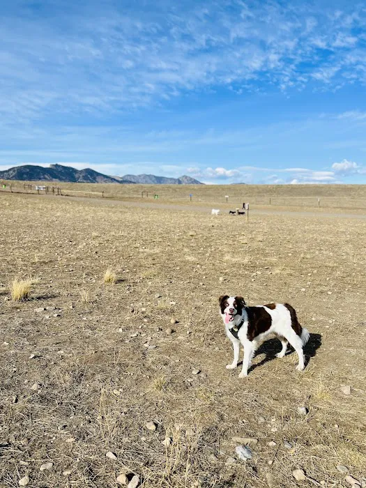 West Arvada Dog Park 2