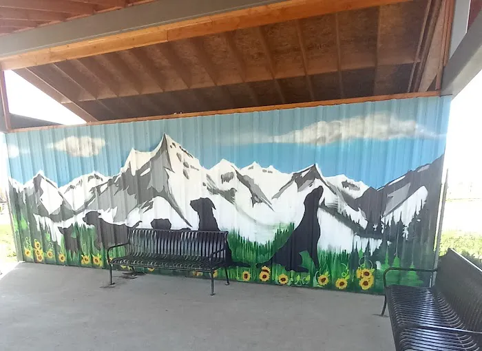West Arvada Dog Park 3