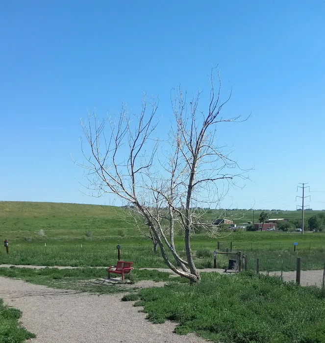 West Arvada Dog Park 4