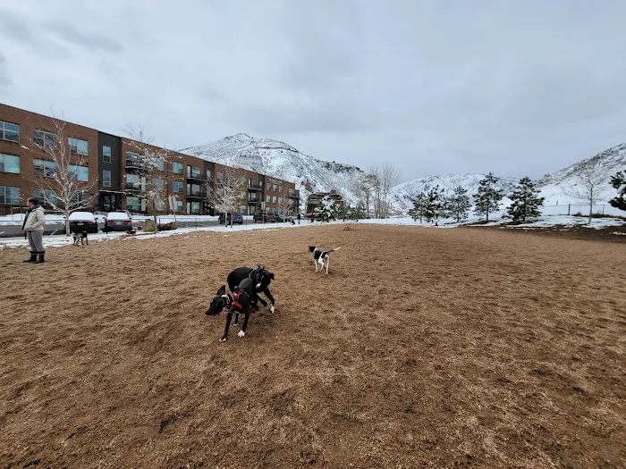 8th St Dog Park 1