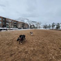 8th St Dog Park ico
