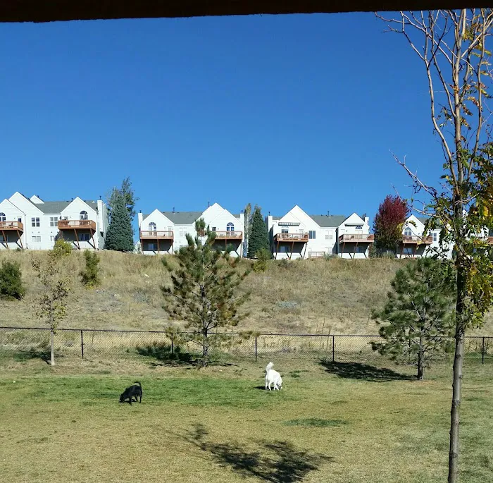 8th St Dog Park 7