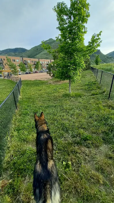 8th St Dog Park 9
