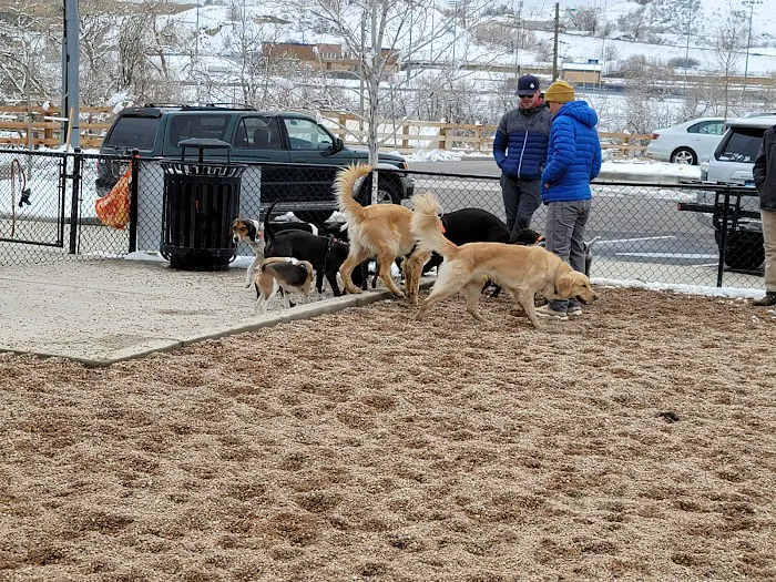 8th St Dog Park 10