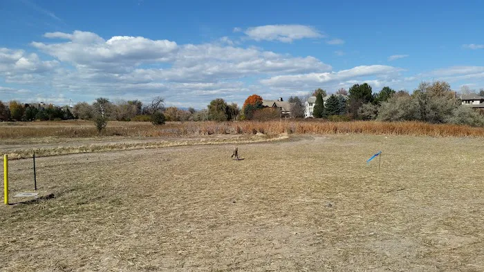 8th St Dog Park 5