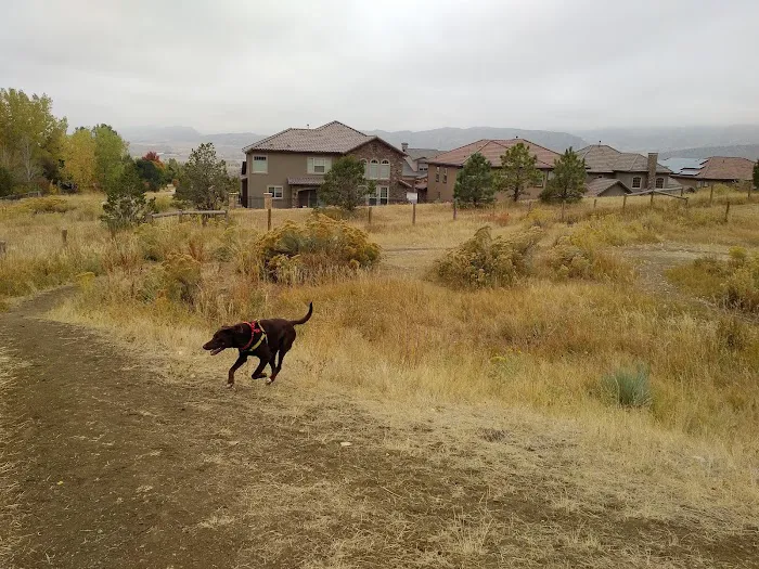 Parks, Forestry and Open Space 1