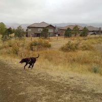 Parks, Forestry and Open Space ico