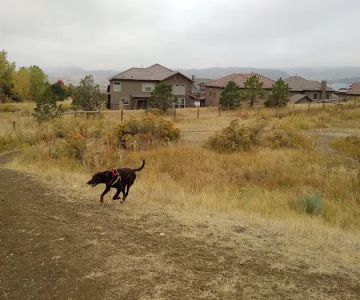 Parks, Forestry and Open Space