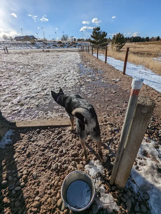 Rover's Run at Redstone Park 8