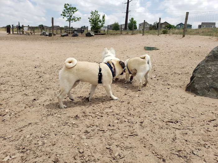 Rover's Run at Redstone Park 3