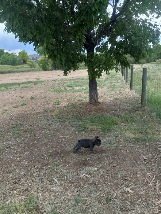 Fido's Field at Foothills Park 6