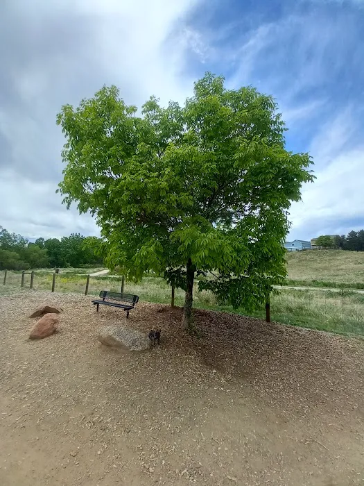 Fido's Field at Foothills Park 7